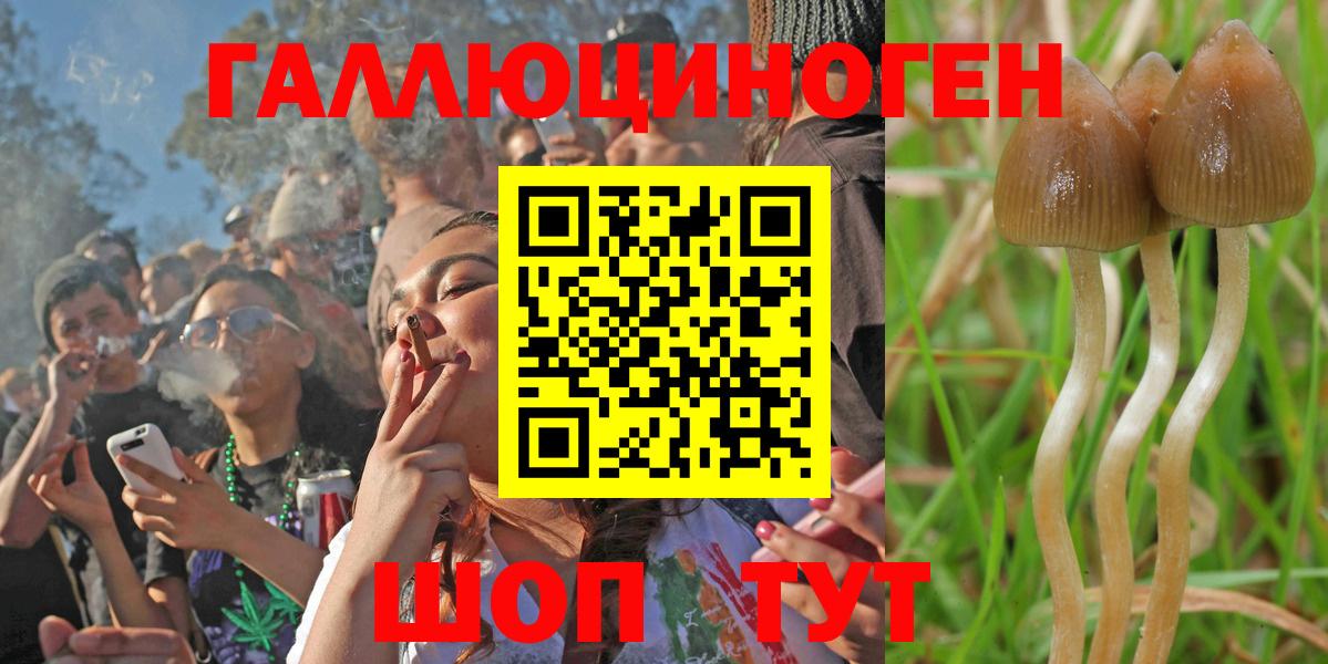 Галлюциногенные грибы Cubensis Воркута